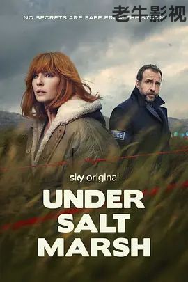 盐沼之下