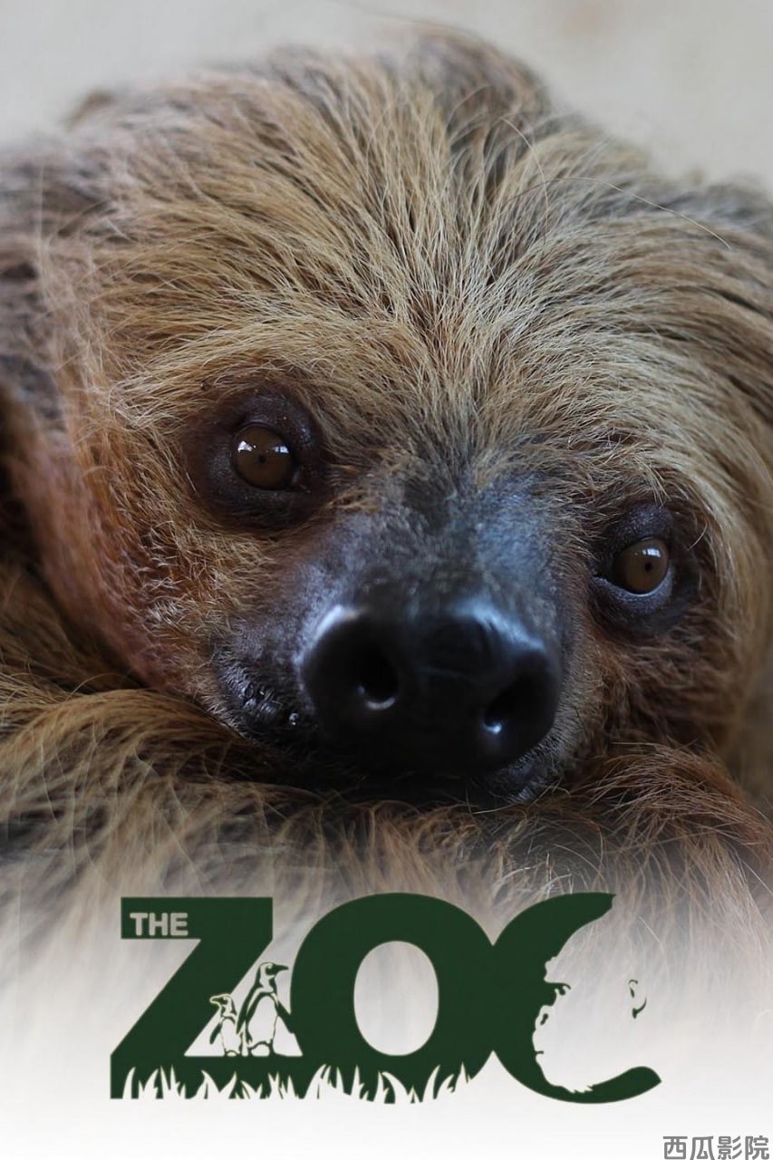 动物园 第七季