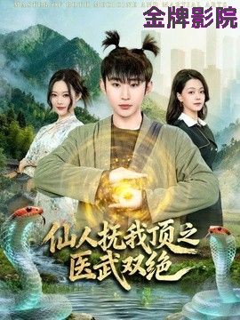 仙人抚我顶之医武双绝